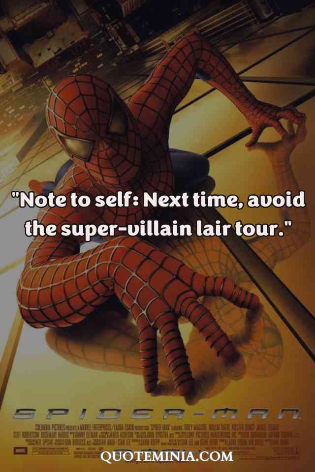 Spider Man Quotes Funny