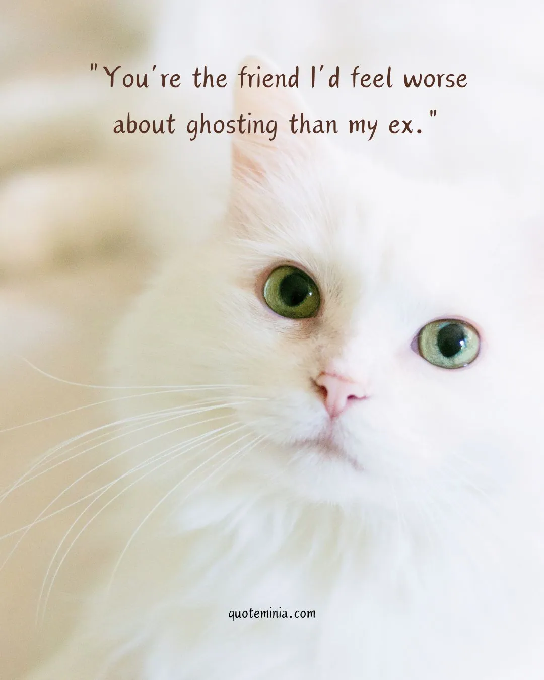 You Are Special Quotes For Friends Image 3