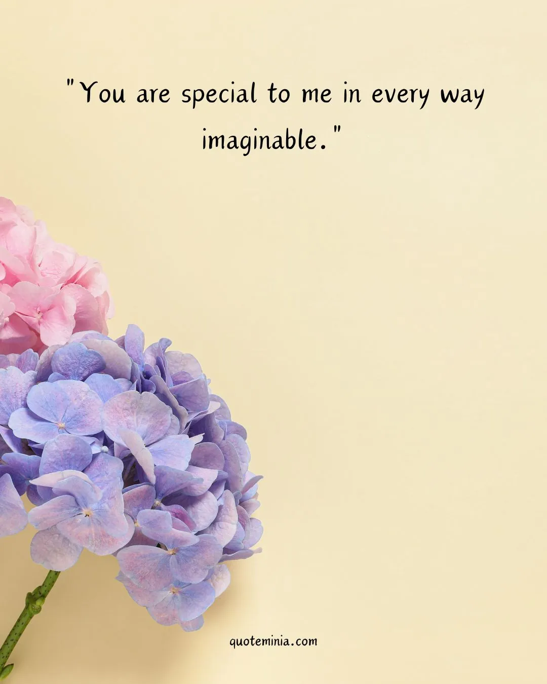 You Are Special Quotes Short Image
