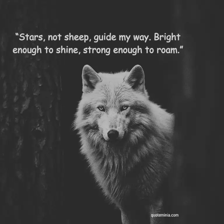 Lone Wolf Quotes 2