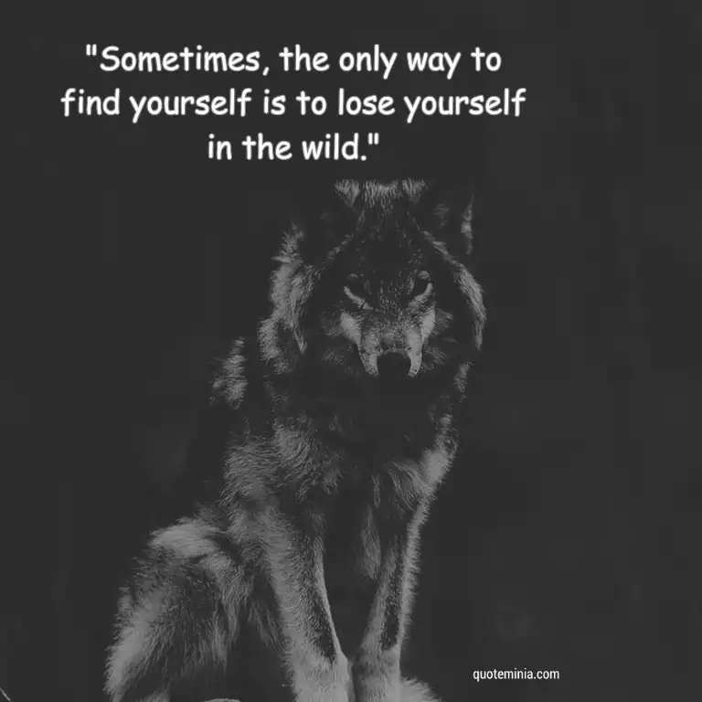 Epic Lone Wolf Quotes Image 12