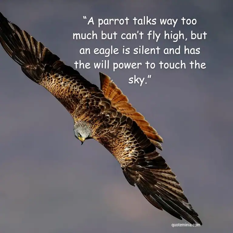 Best Eagle Quote Image