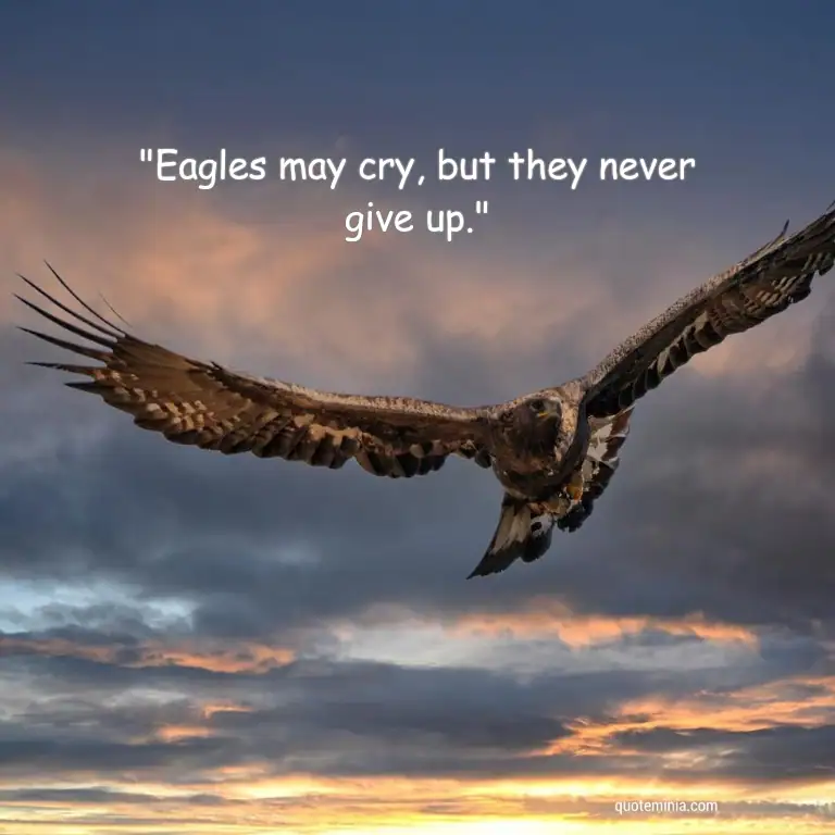 Short Eagle Quote Image 2