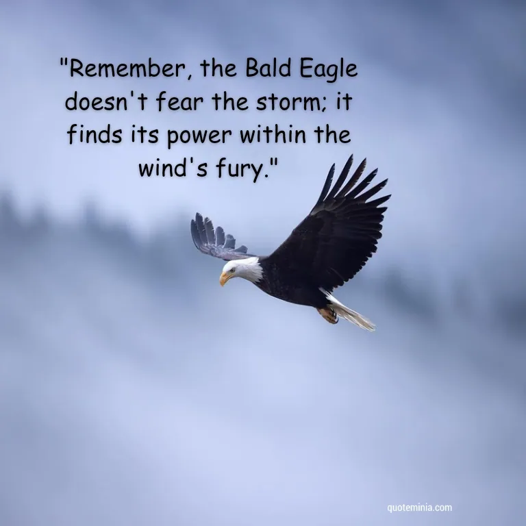 Bald Eagle Quote Image