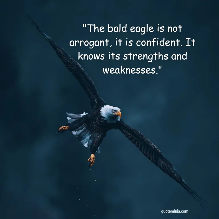 Bald Eagle Quote Image 1
