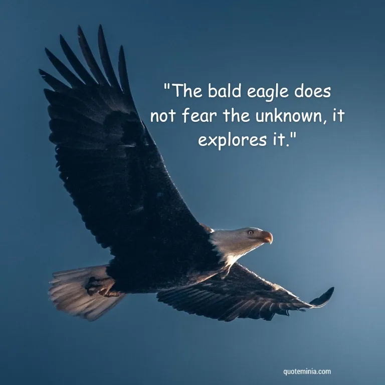 Bald Eagle Quote Image 2