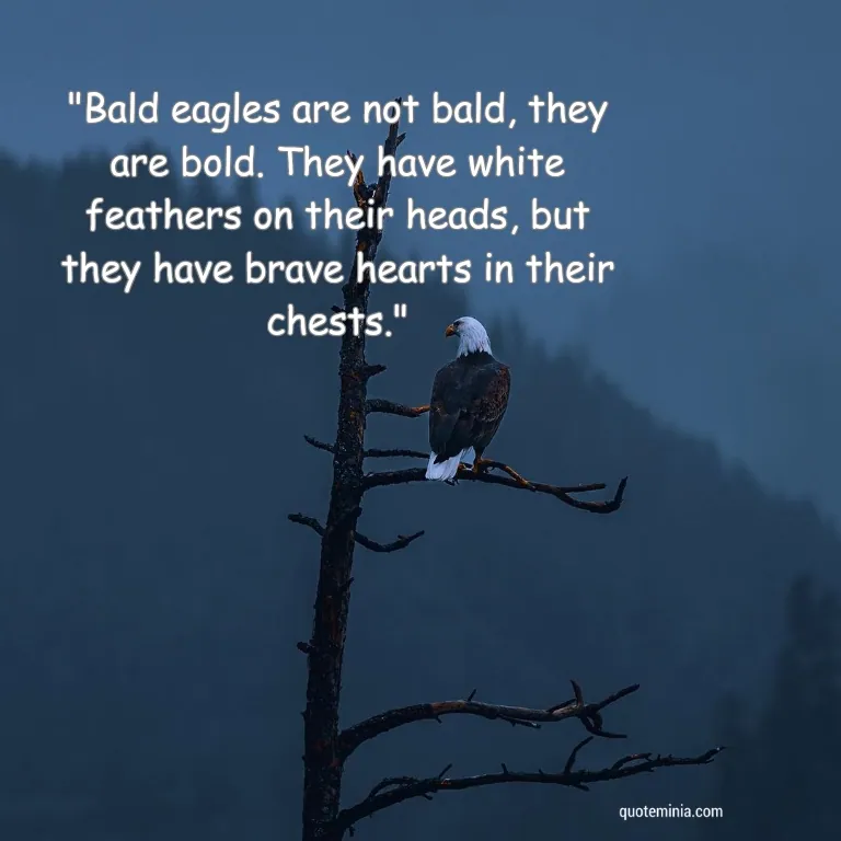 Bald Eagle Quote Image 3