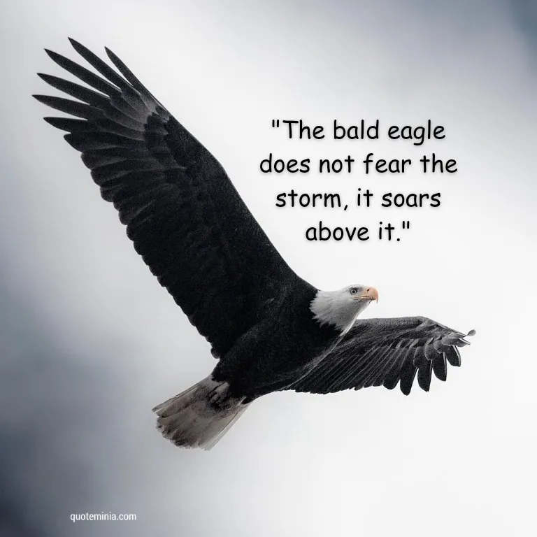 Bald Eagle Quote Image 4