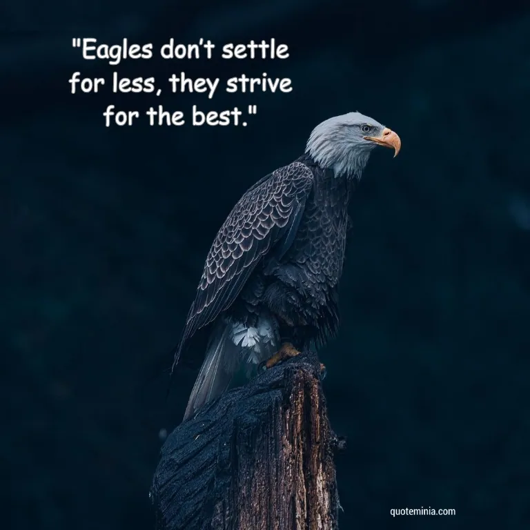 Short Eagle Quote Image 1