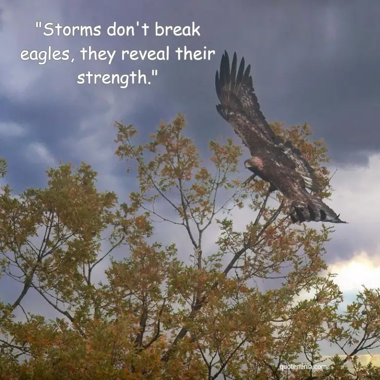 Short Eagle Quote Image 4