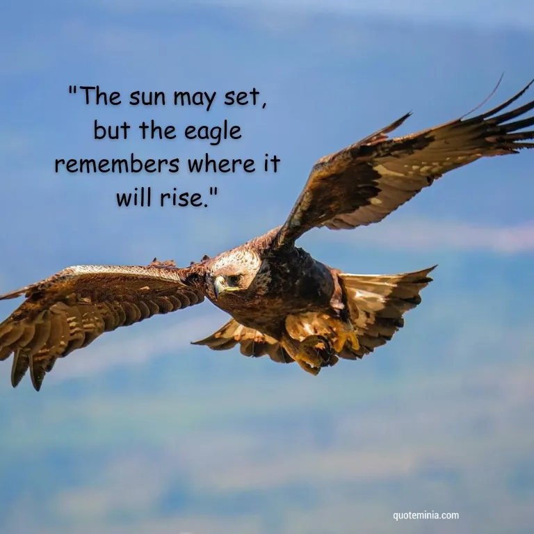 Inspirational Eagle Quote Image 2