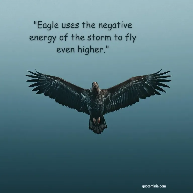 Best Eagle Quote Image 5