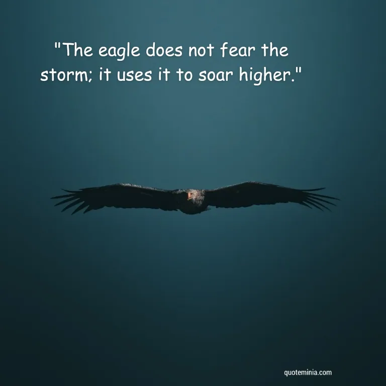 Soar Like an Eagle Quote Image