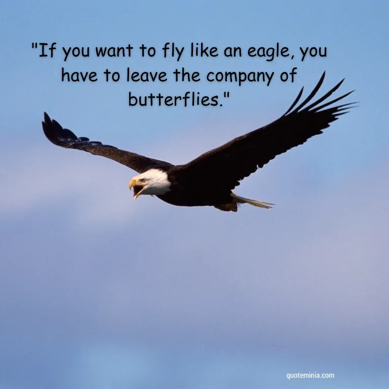 Fly Like an Eagle Quote Image