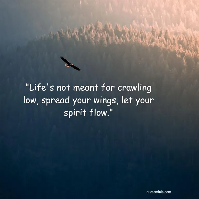 Fly Like an Eagle Quote Image 1