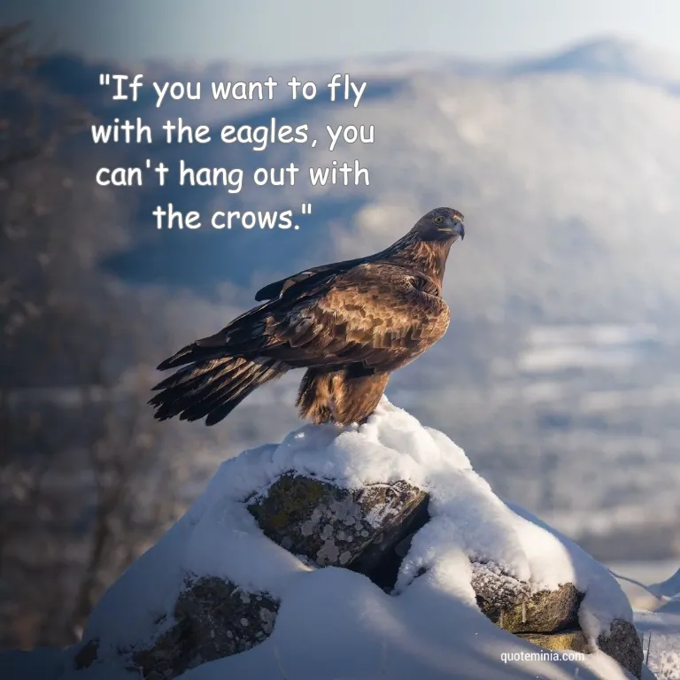 Fly Like an Eagle Quote Image 4