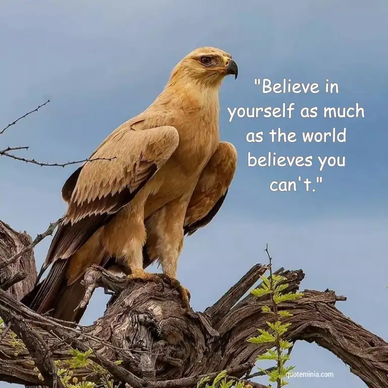 be Like an Eagle Quote Image