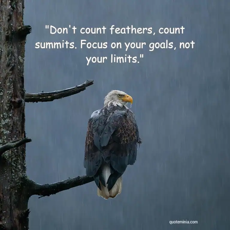 Attitude Eagle Quote Image 1 on Success