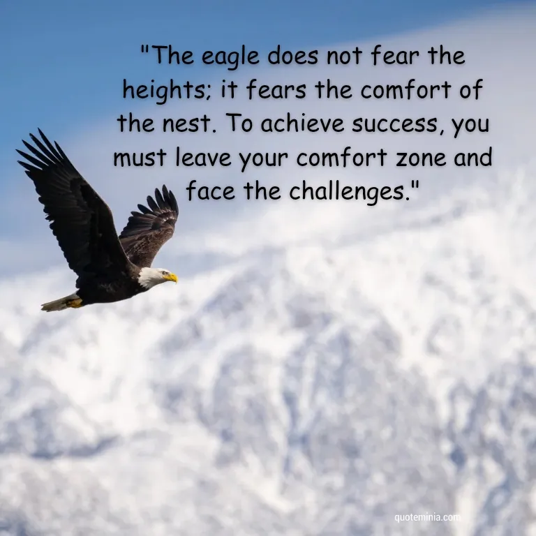 Attitude Eagle Quote Image 3 on Success