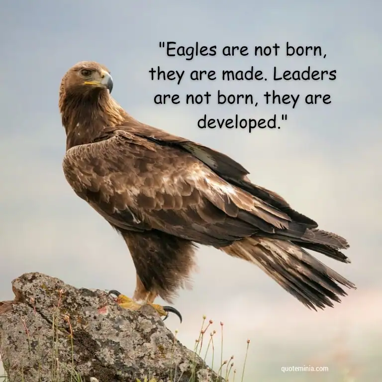 leadership Eagle Quote Image 2