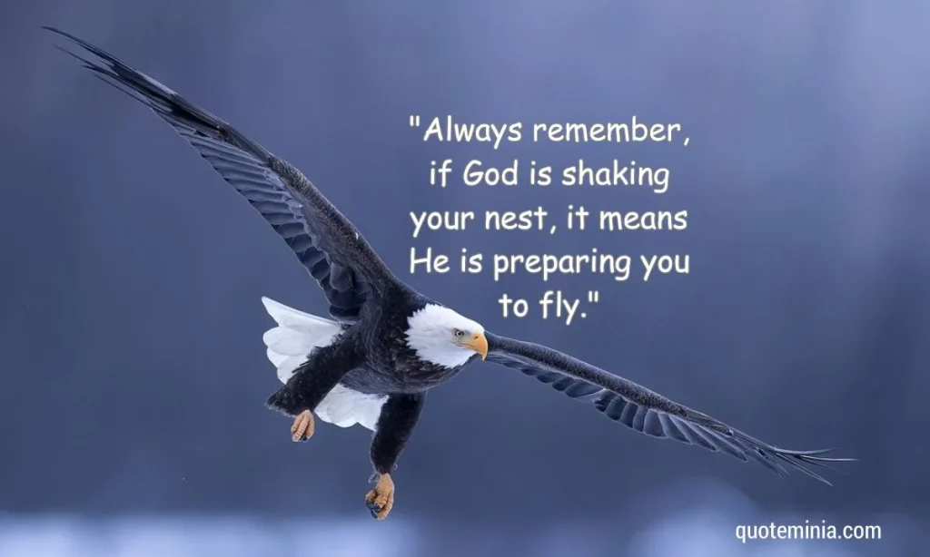 Eagle Quotes Image