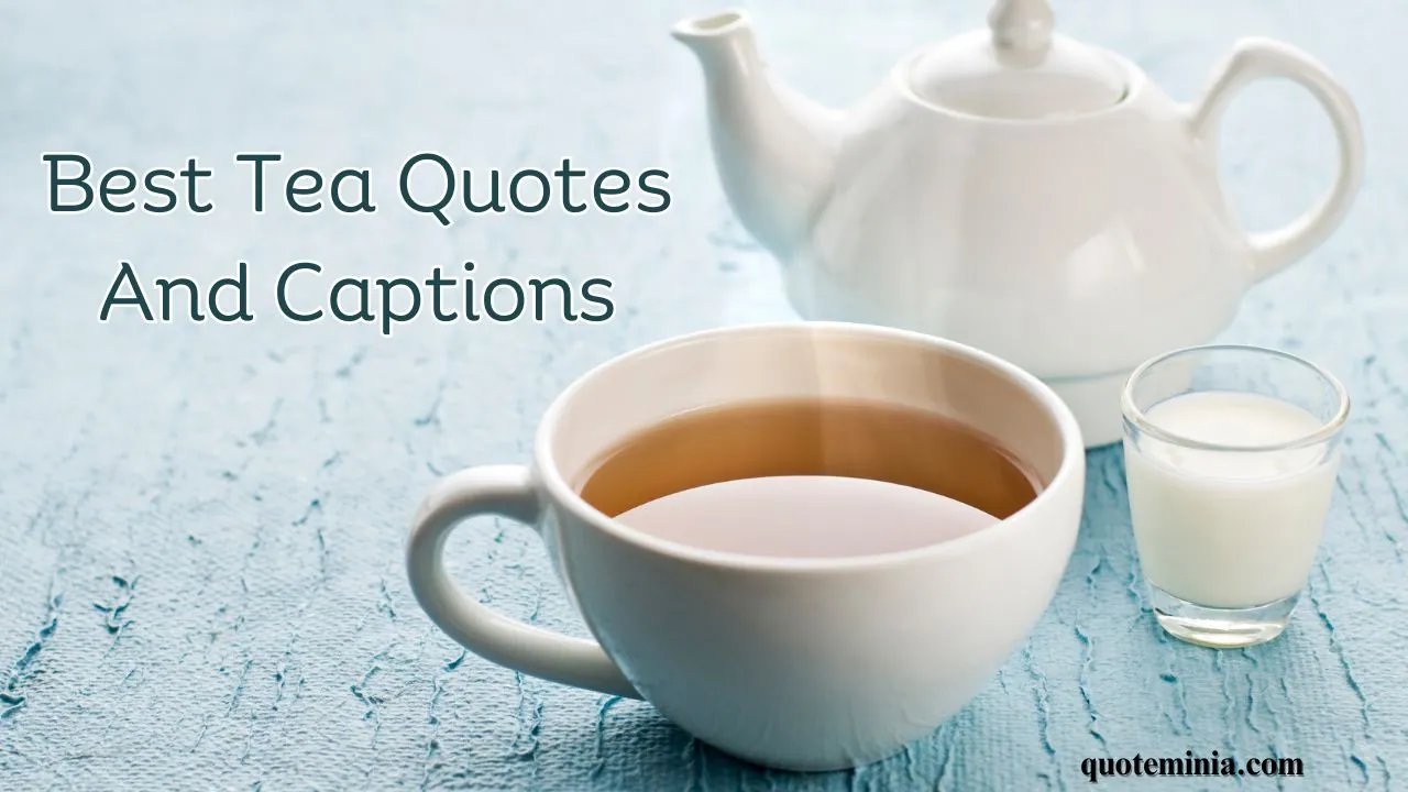 Tea Quotes for Every Tea Lover