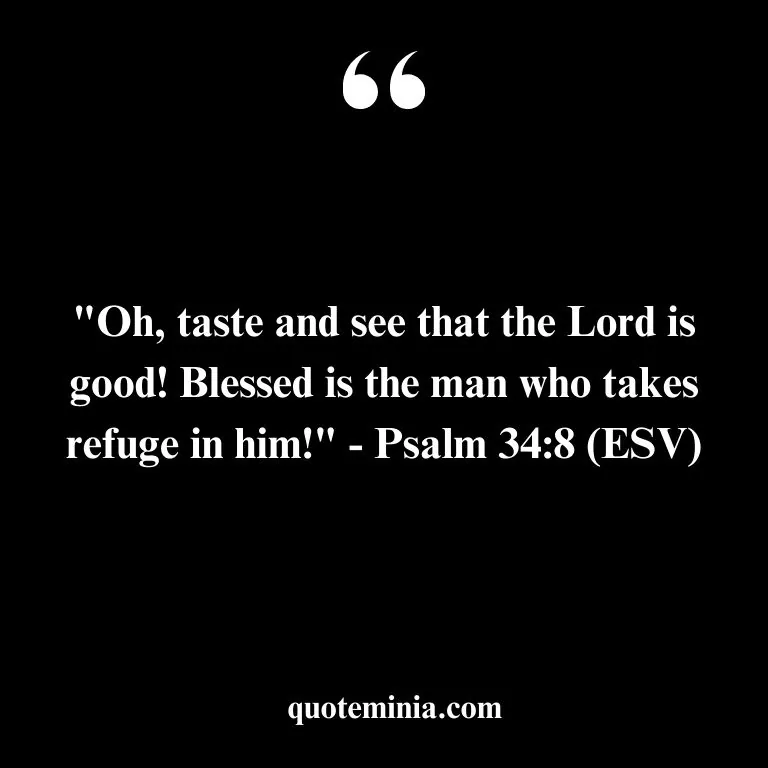 Bible Quote about Goodness of God 4