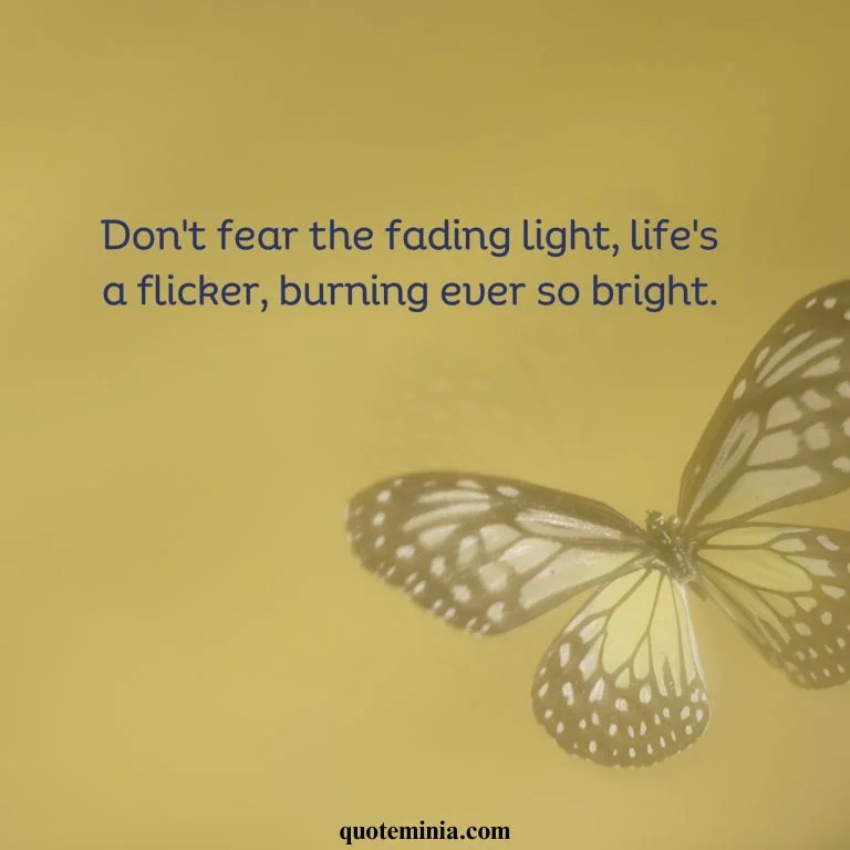 Butterfly Quote About Life in Image 3.
