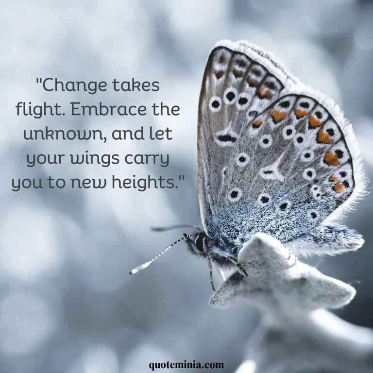 Butterfly Quote Image About Change 3