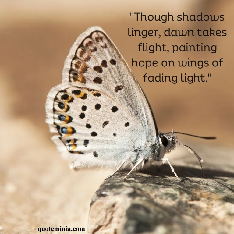 Butterfly Quote Image About Change 4