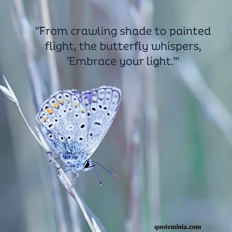 Butterfly Quote Image About Change