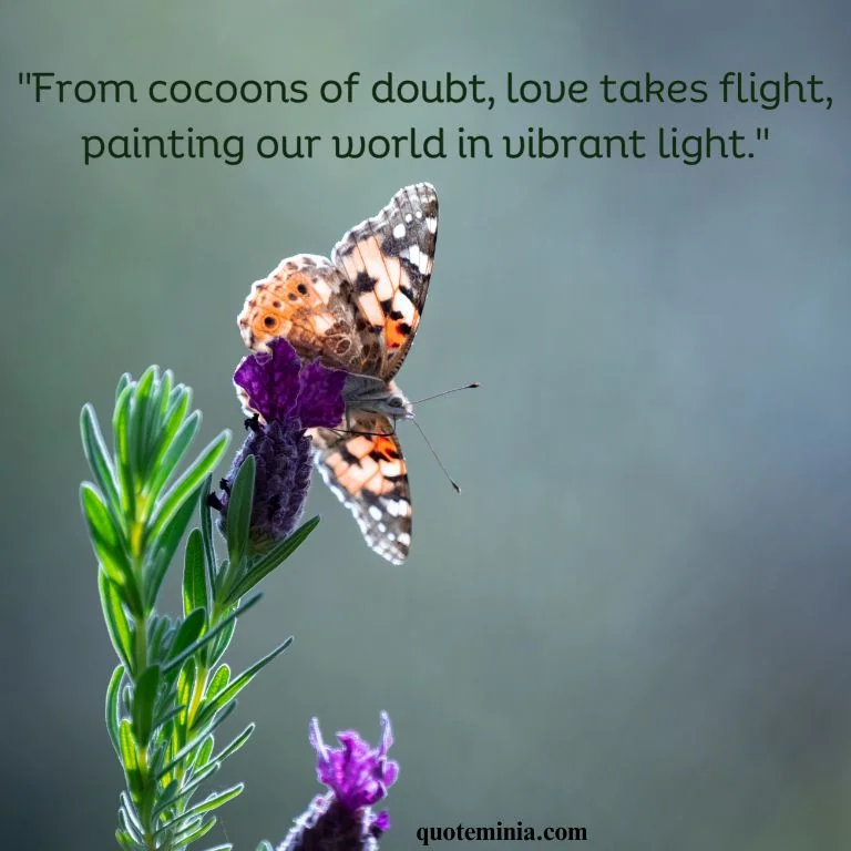 Butterfly Quote Love Image 1