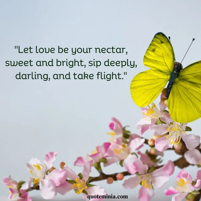 Butterfly Quote Love Image 2