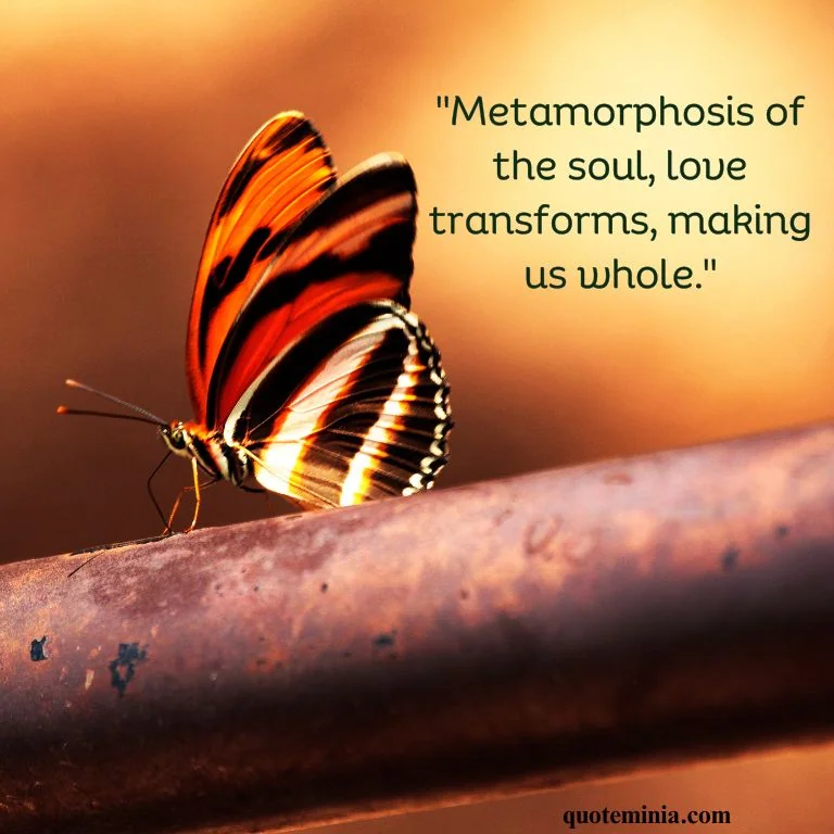 Butterfly Quote Love Image 3
