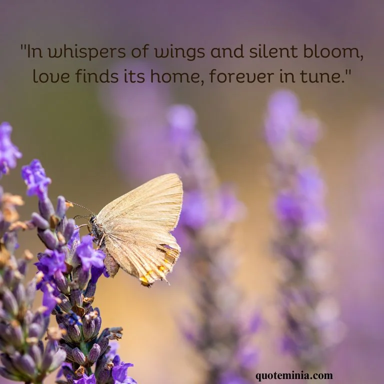 Butterfly Quote Love Image 4
