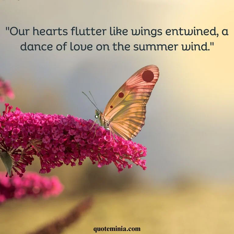 Butterfly Quote Love Image