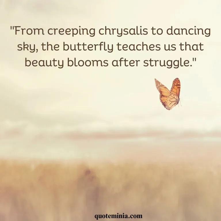 Butterfly Quote With Image 2