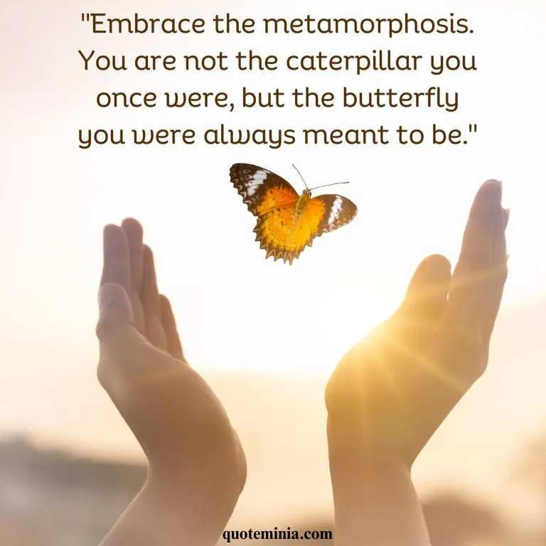 Butterfly Quote With Image 3