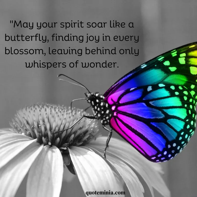 Butterfly Quote With Image 4