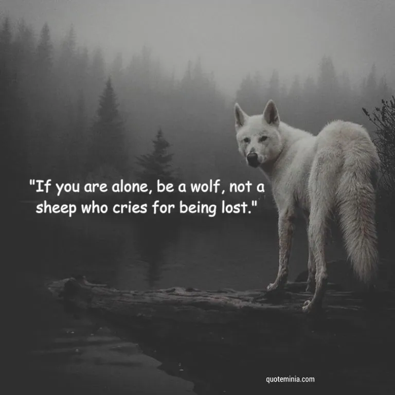 Lone Wolf Quotes 1