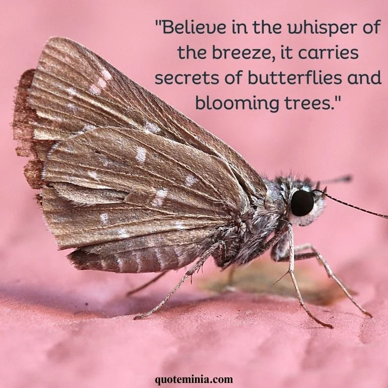 Inspirational Short Butterfly Quote With Image 4