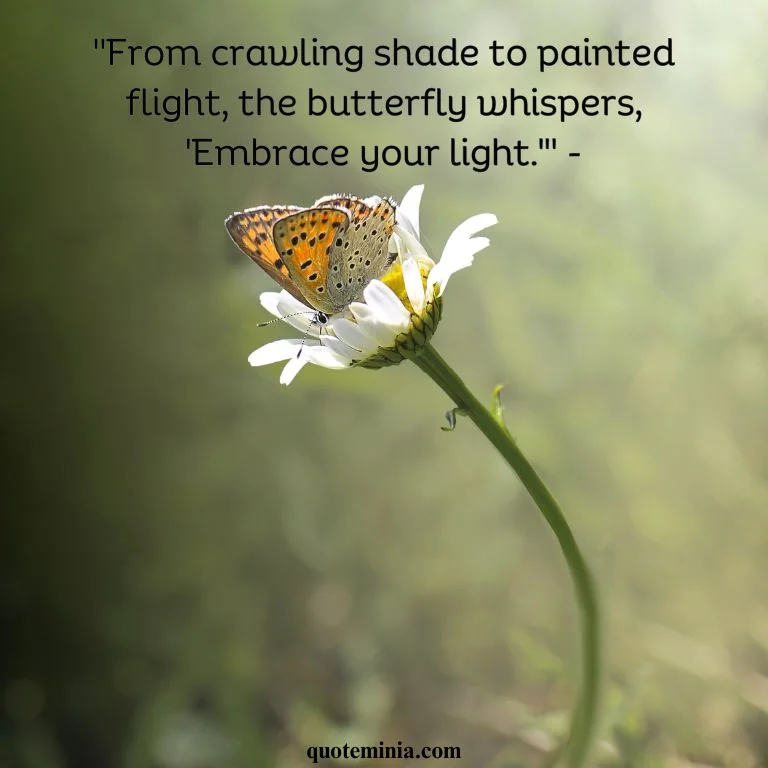 Inspirational Short Butterfly Quote With Image