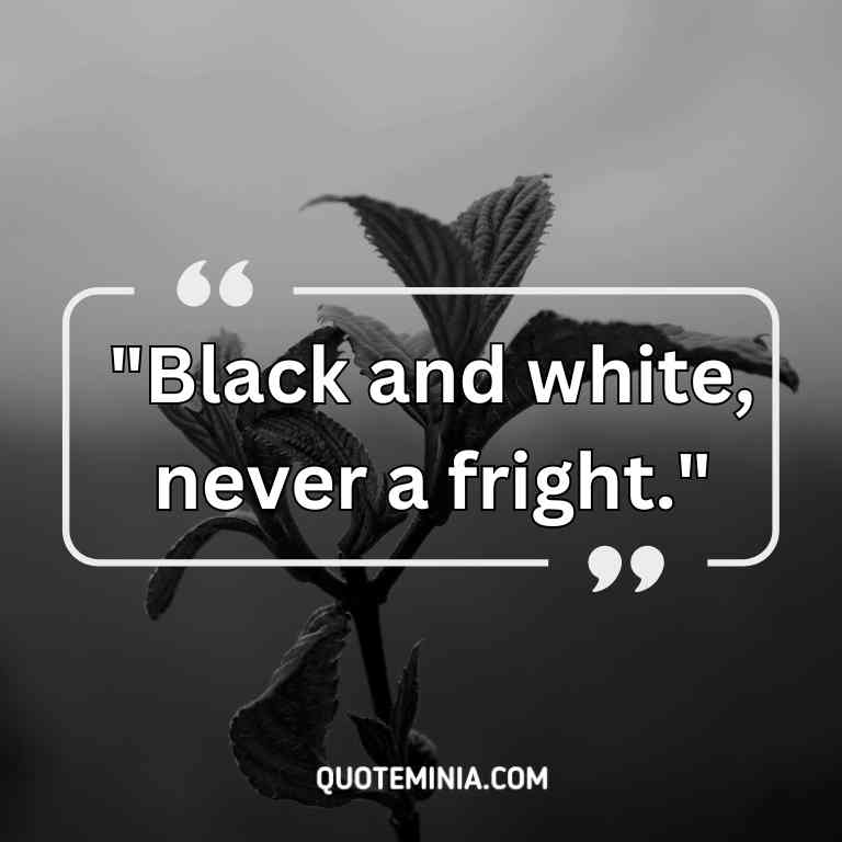 Black and White Quote Image for Instagram- 4