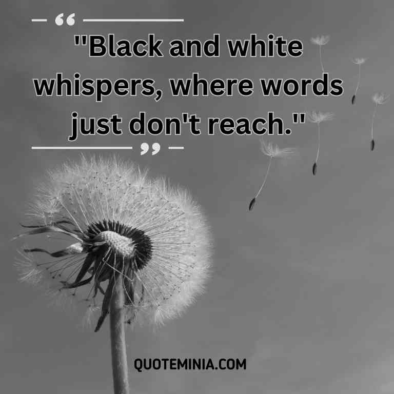  Black and White Quote Image for Instagram- 6