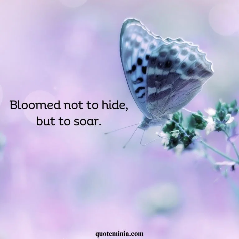 Short Butterfly Quote With Image 4