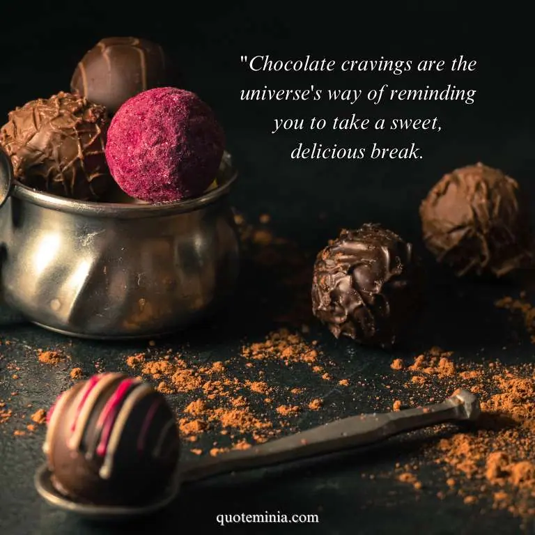 chocolate quote Image 1