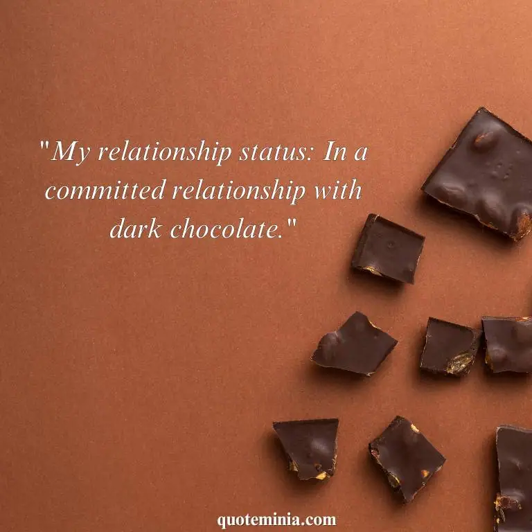 funny chocolate quote image 2