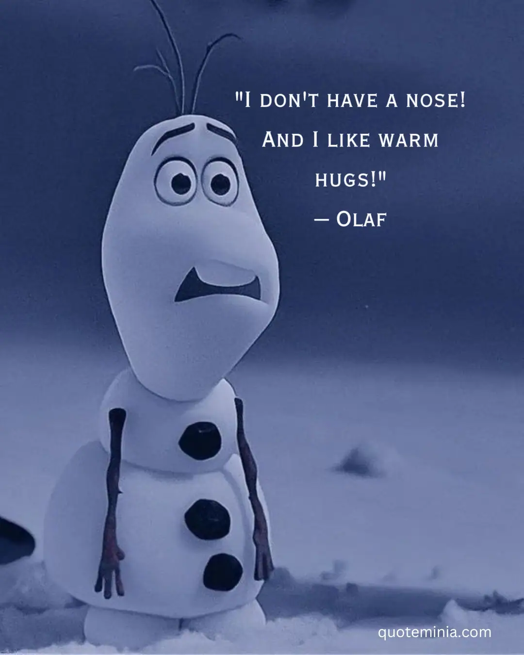 Funny Frozen Quotes