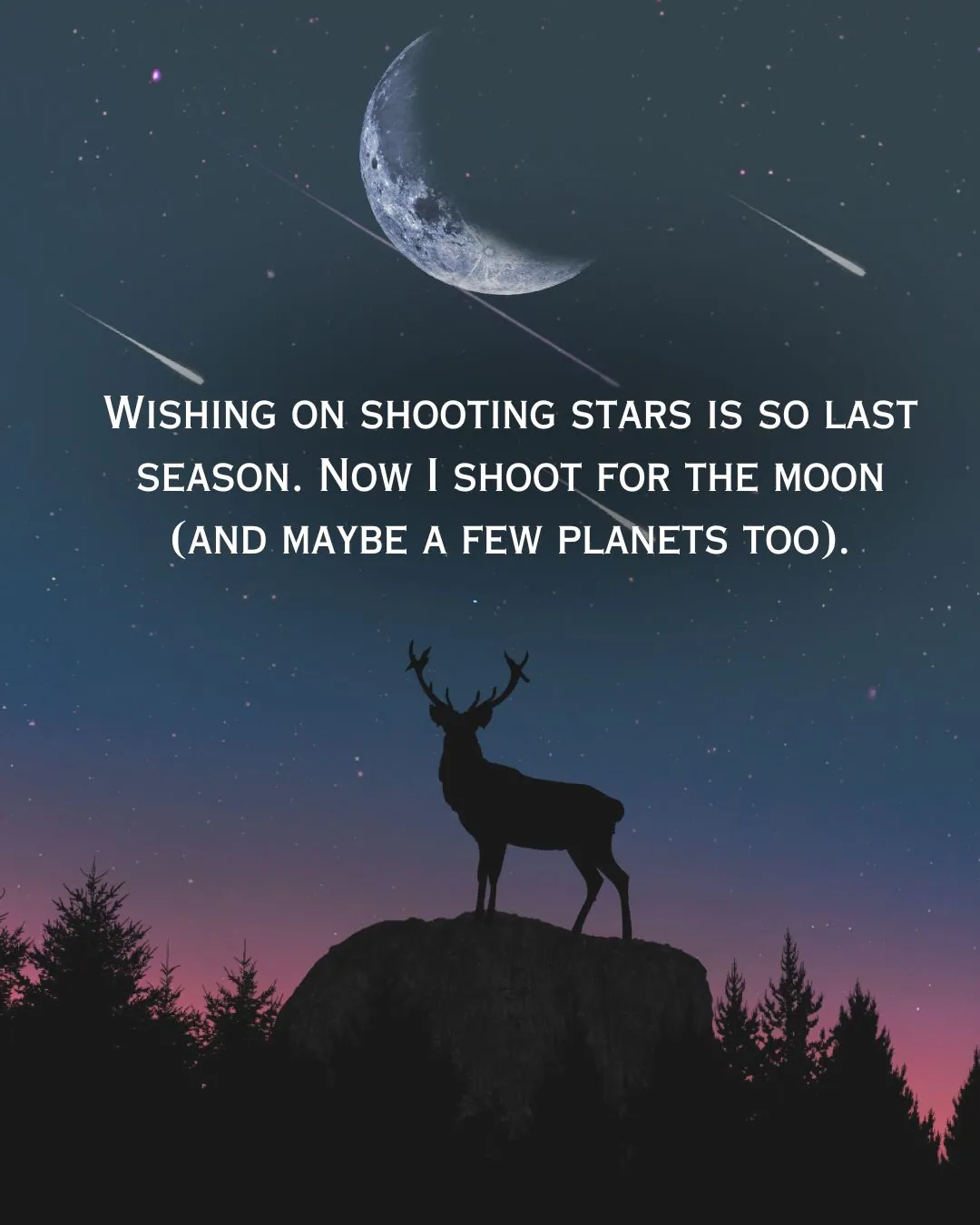 Night Sky Quotes for Instagram for Girl With Image 4