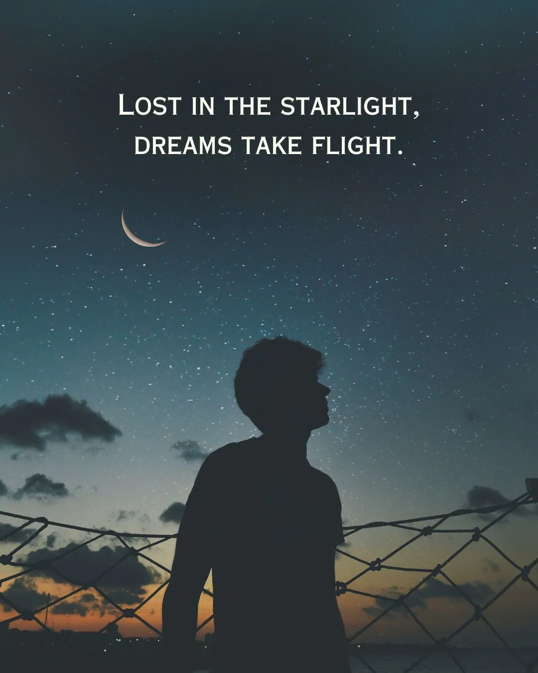 Short Night Sky Quotes for Instagram Image 5